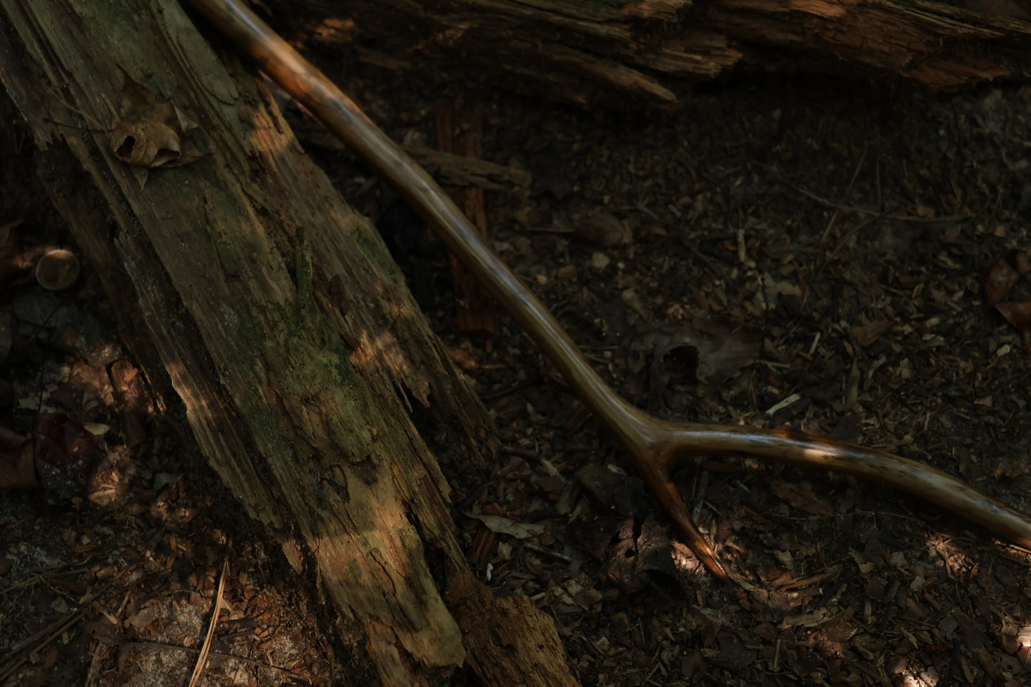 Black Walnut Scythe