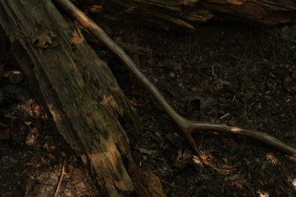 Black Walnut Scythe