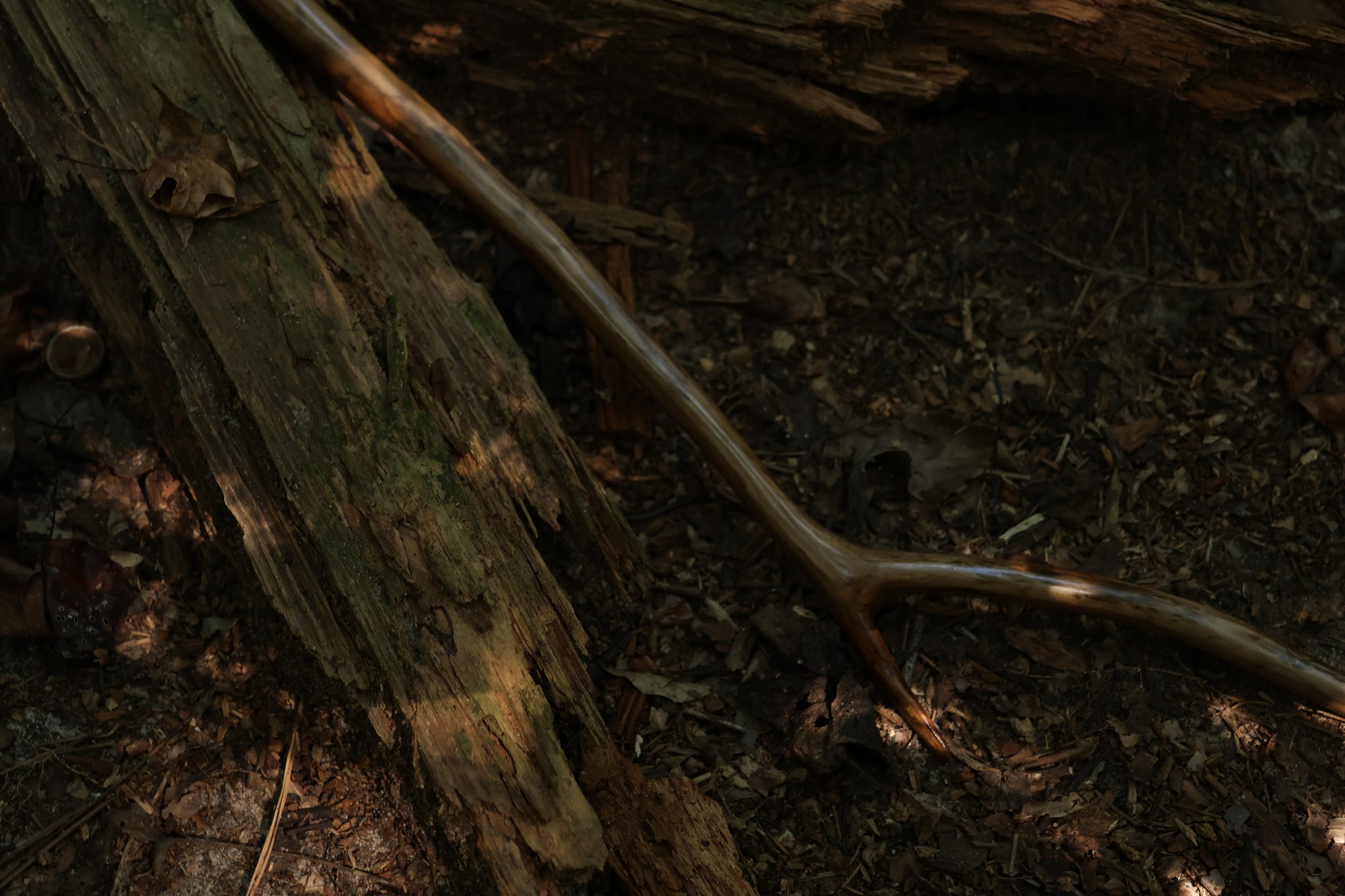 Black Walnut Scythe