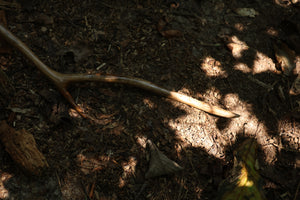 Black Walnut Scythe