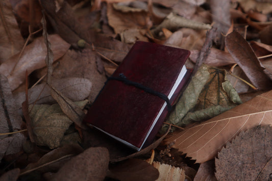 Pine Marten Leather Journal