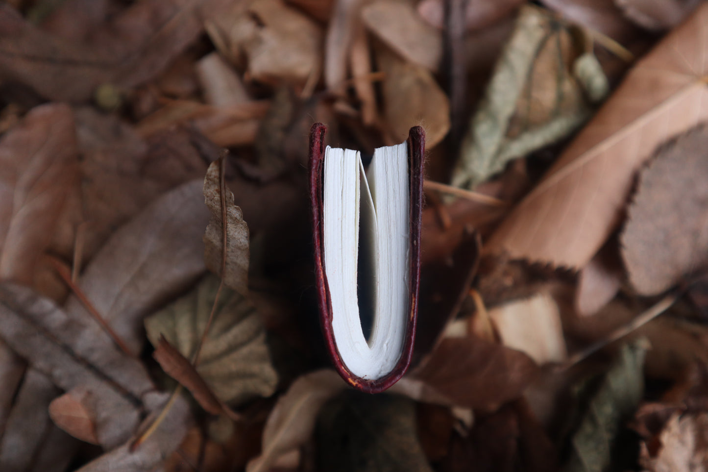Pine Marten Leather Journal