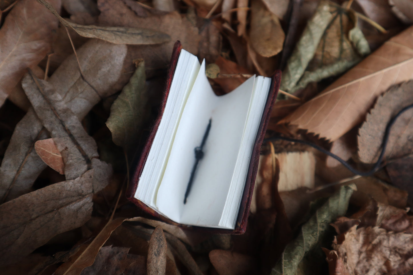 Pine Marten Leather Journal