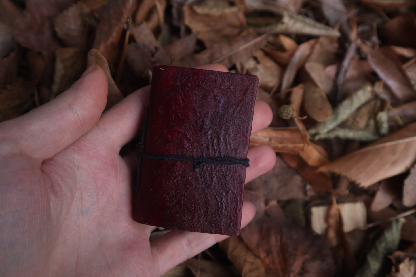 Pine Marten Leather Journal