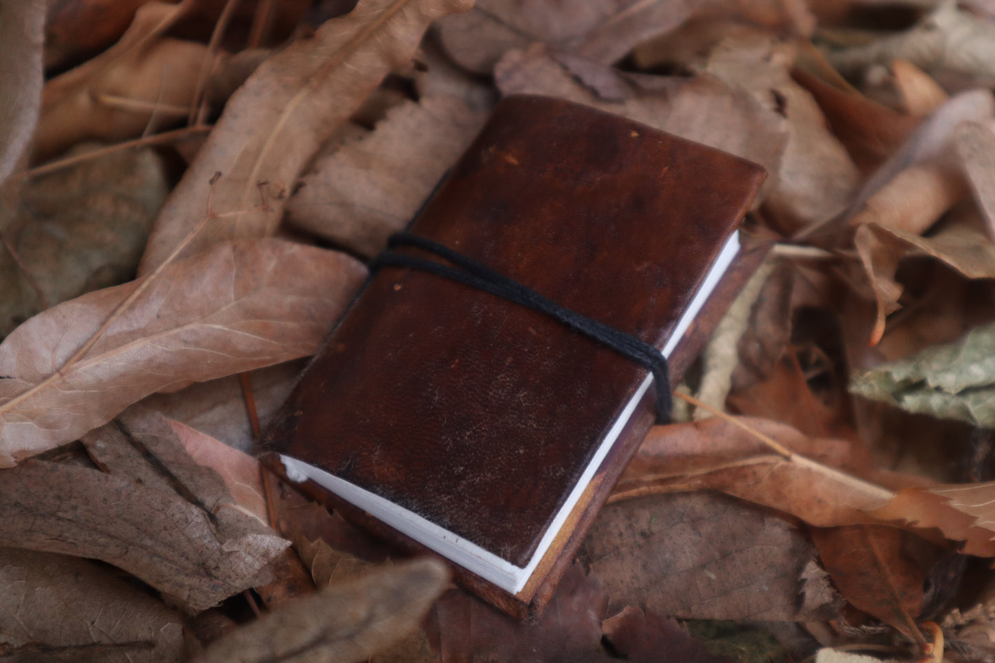 Pine Marten Leather Journal