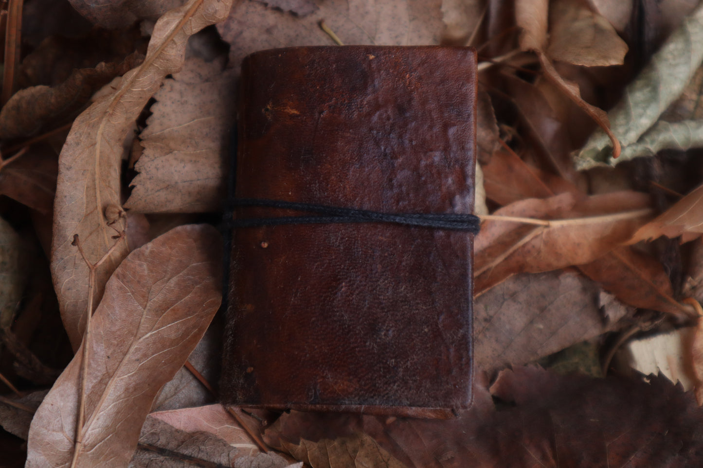 Pine Marten Leather Journal