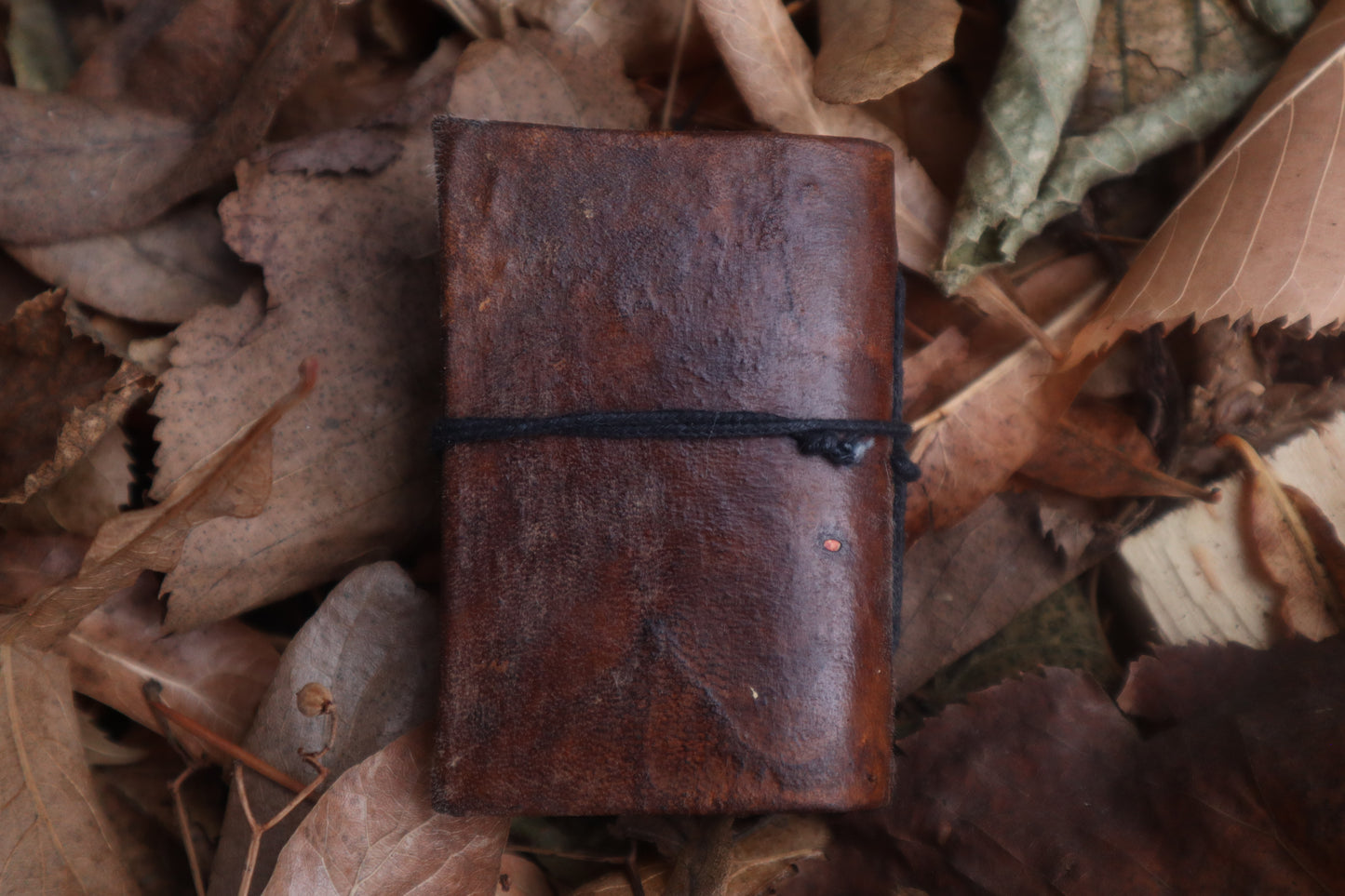 Pine Marten Leather Journal