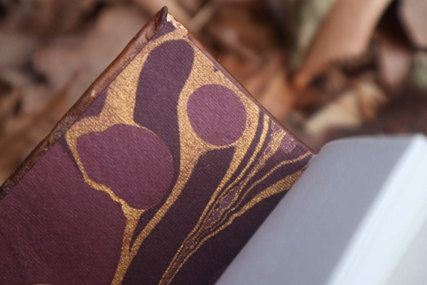 Pine Marten Leather Journal