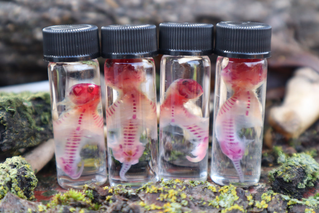 Diaphonized Baby Mouse Serpent