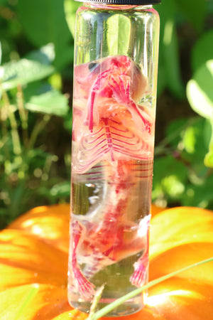 Diaphonized Hamster