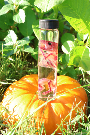 Diaphonized Hamster