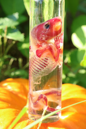 Diaphonized Hamster