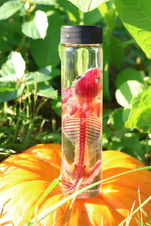 Diaphonized Hamster