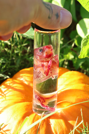 Diaphonized Hamster