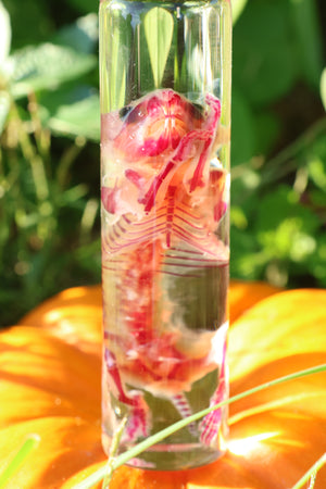 Diaphonized Hamster