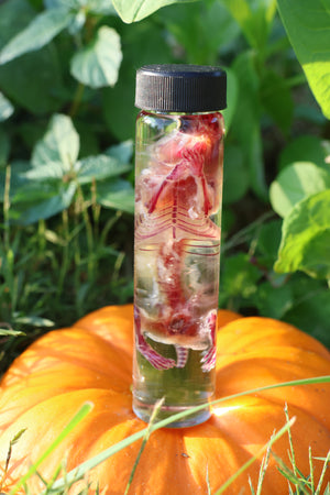 Diaphonized Hamster