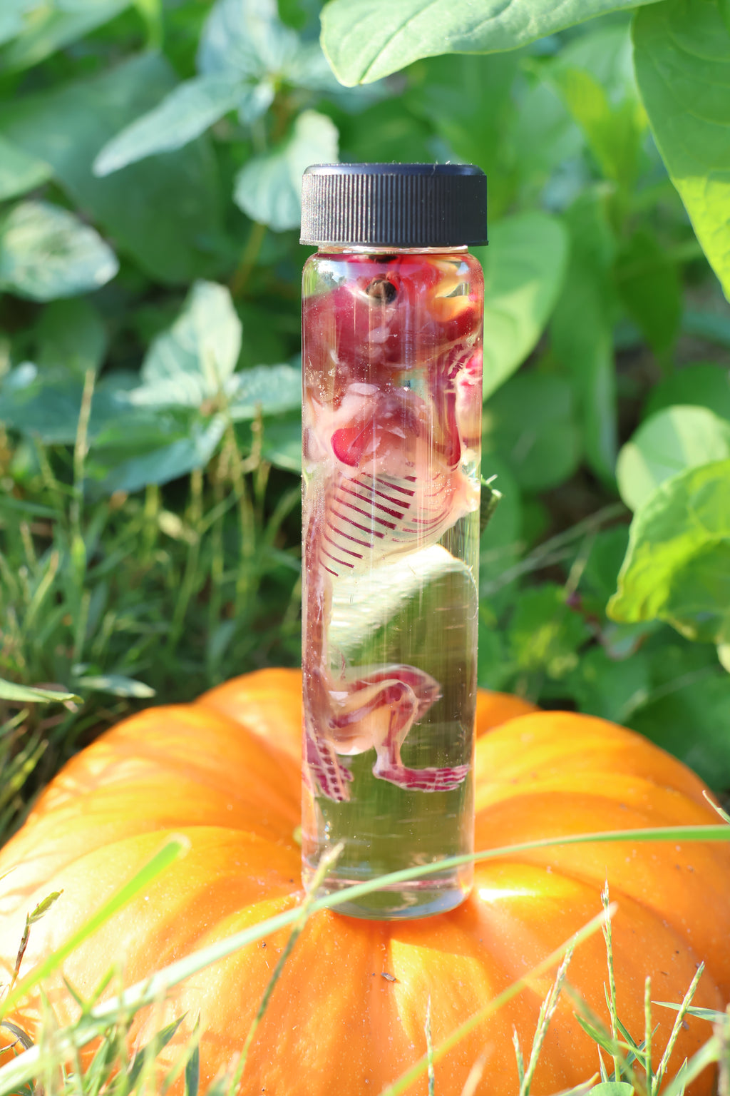 Diaphonized Hamster