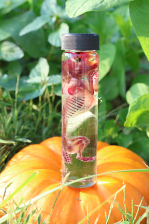 Diaphonized Hamster