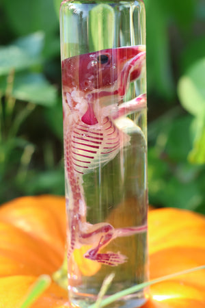 Diaphonized Hamster