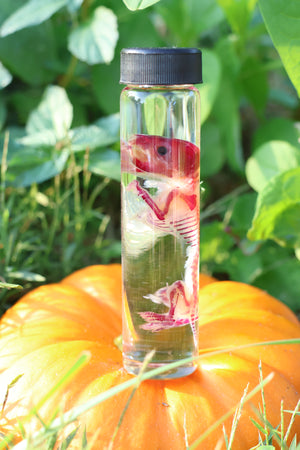 Diaphonized Hamster