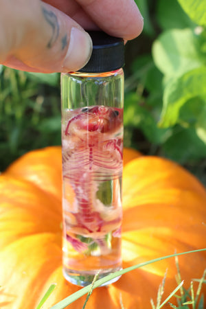 Diaphonized Hamster
