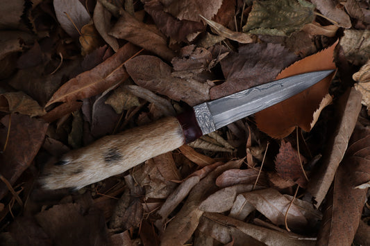 Spotted Damascus Coyote Paw Knife