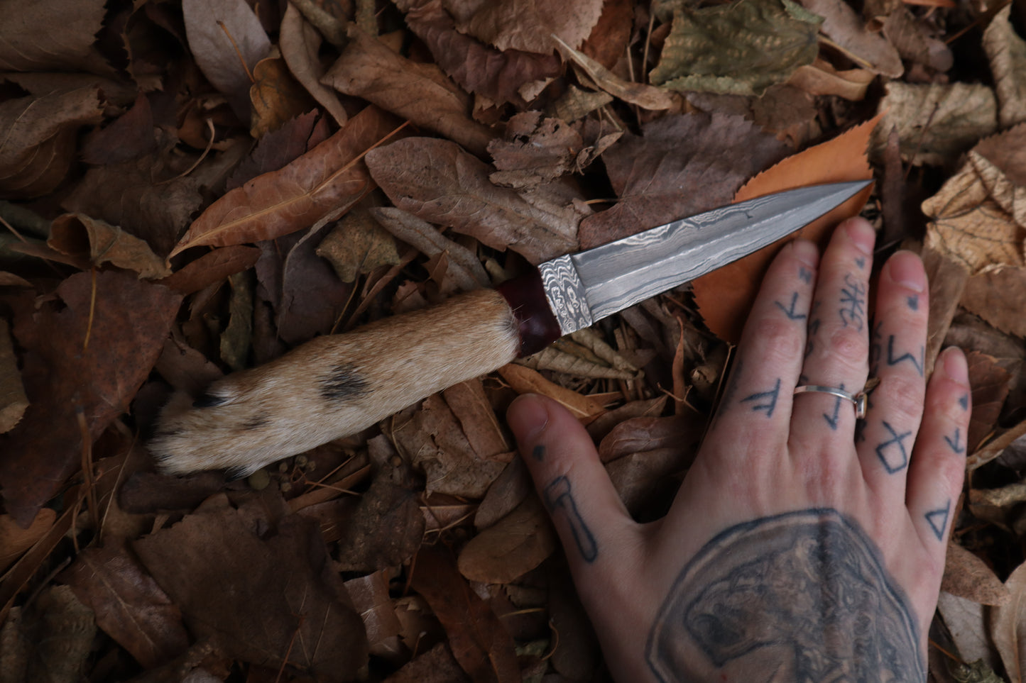 Spotted Damascus Coyote Paw Knife
