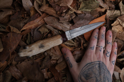 Spotted Damascus Coyote Paw Knife