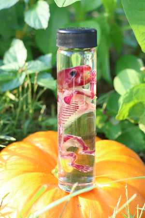 Diaphonized Hamster