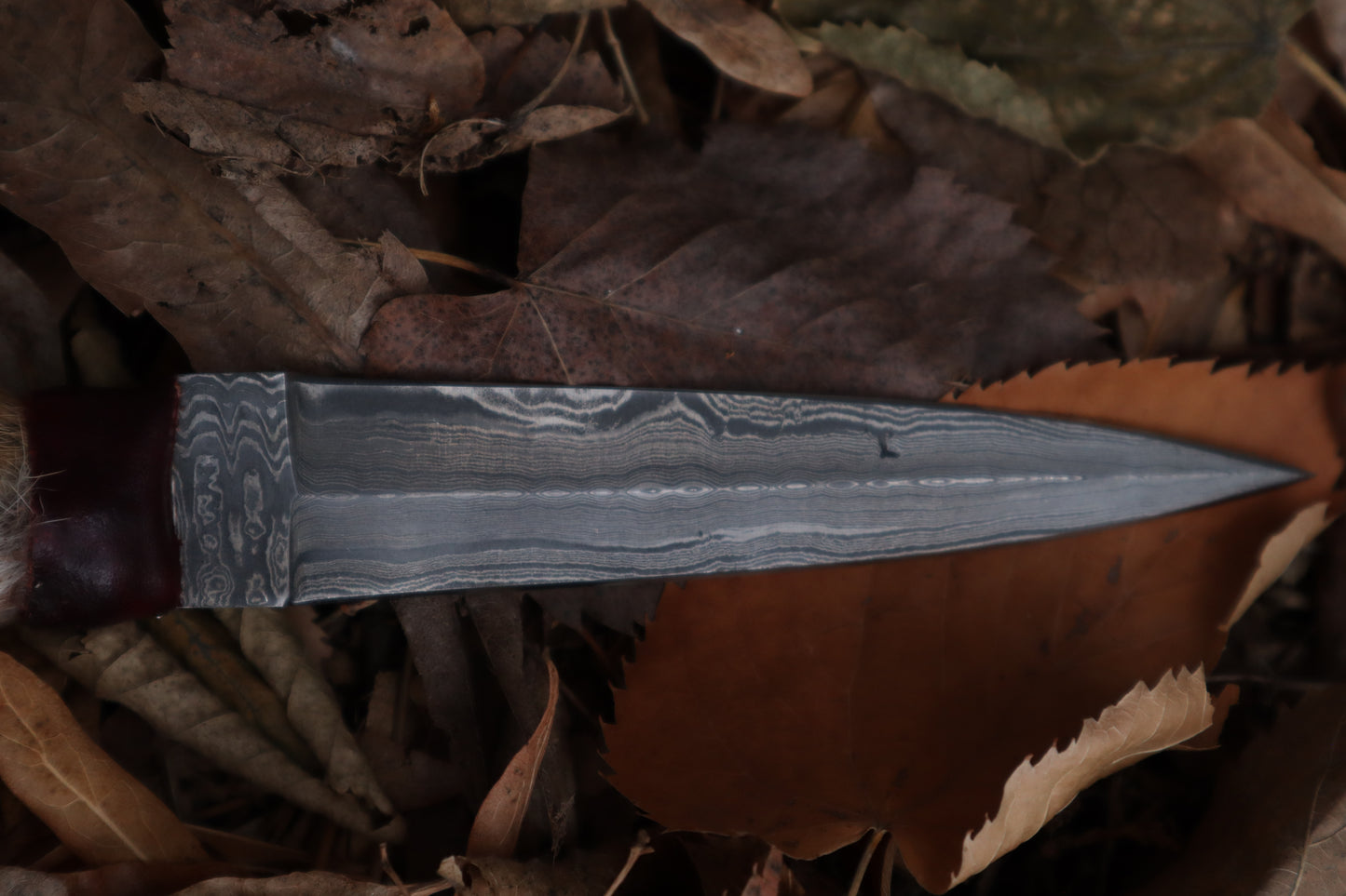 Spotted Damascus Coyote Paw Knife