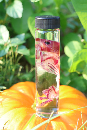 Diaphonized Hamster
