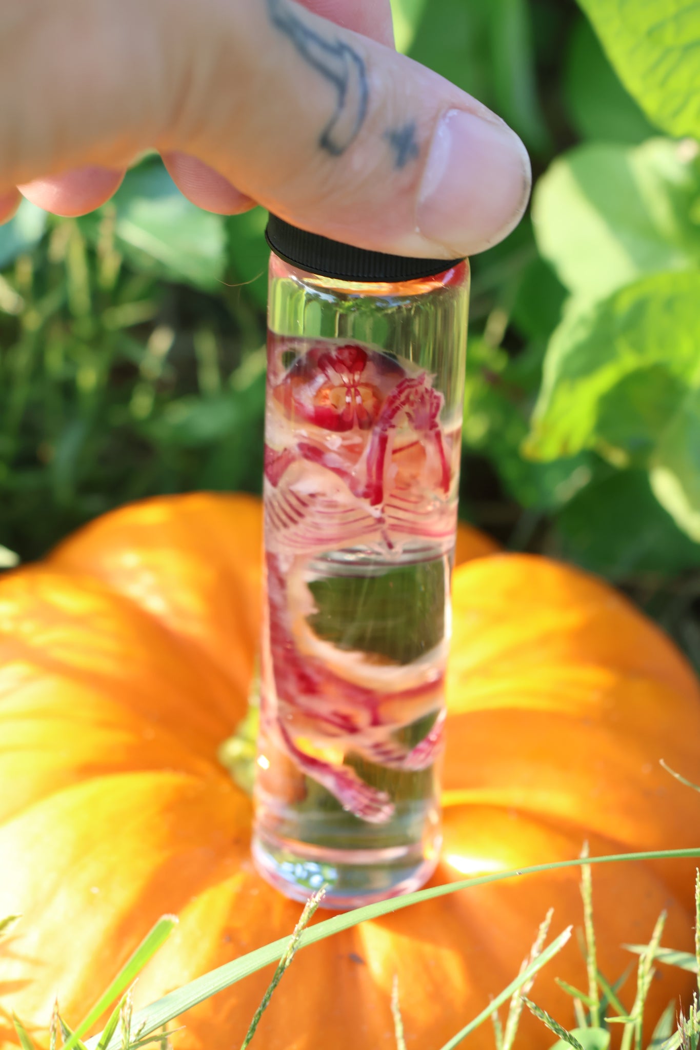 Diaphonized Hamster