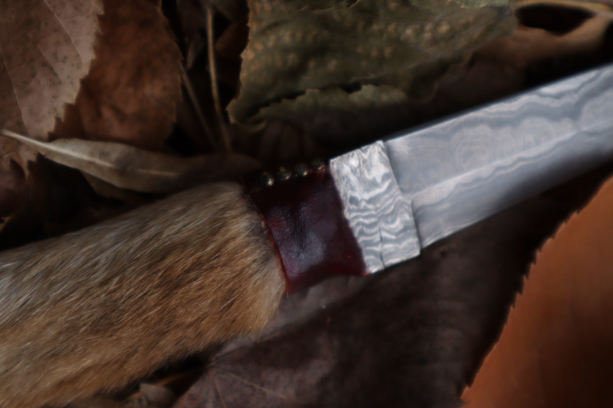 Spotted Damascus Coyote Paw Knife