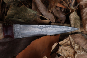 Spotted Damascus Coyote Paw Knife