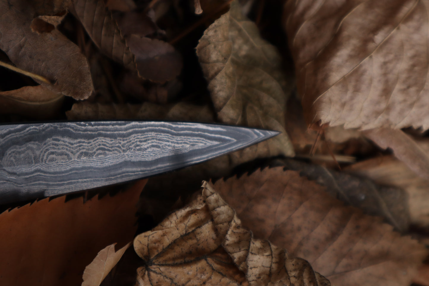 Spotted Damascus Coyote Paw Knife