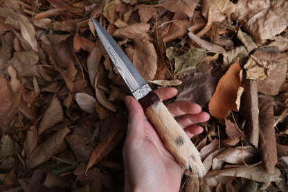 Spotted Damascus Coyote Paw Knife