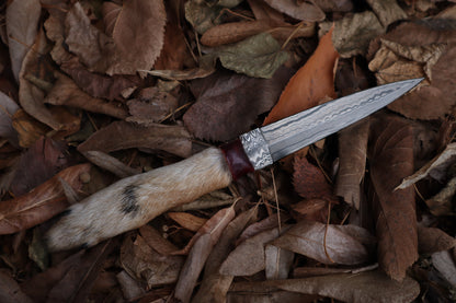 Spotted Damascus Coyote Paw Knife