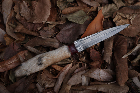 Spotted Damascus Coyote Paw Knife