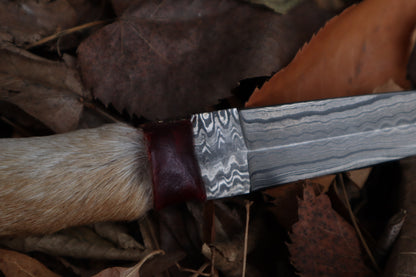 Spotted Damascus Coyote Paw Knife