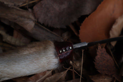 Spotted Damascus Coyote Paw Knife