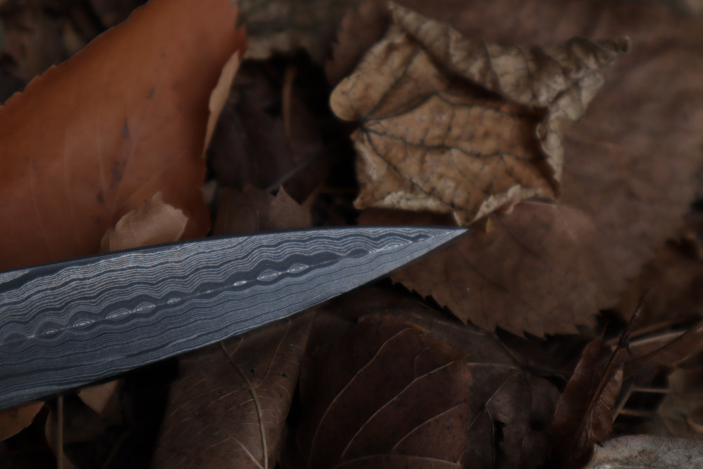 Spotted Damascus Coyote Paw Knife