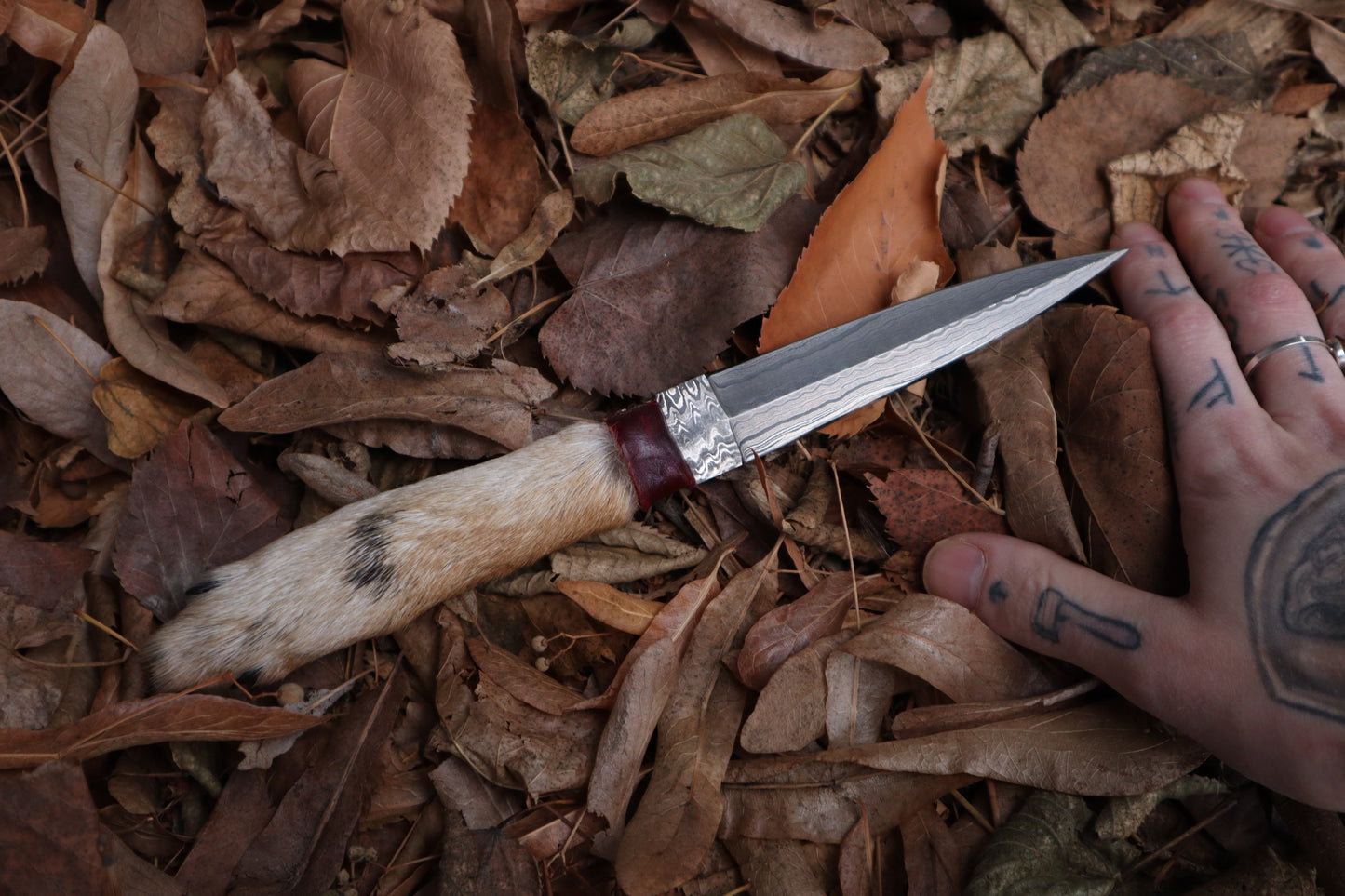 Spotted Damascus Coyote Paw Knife