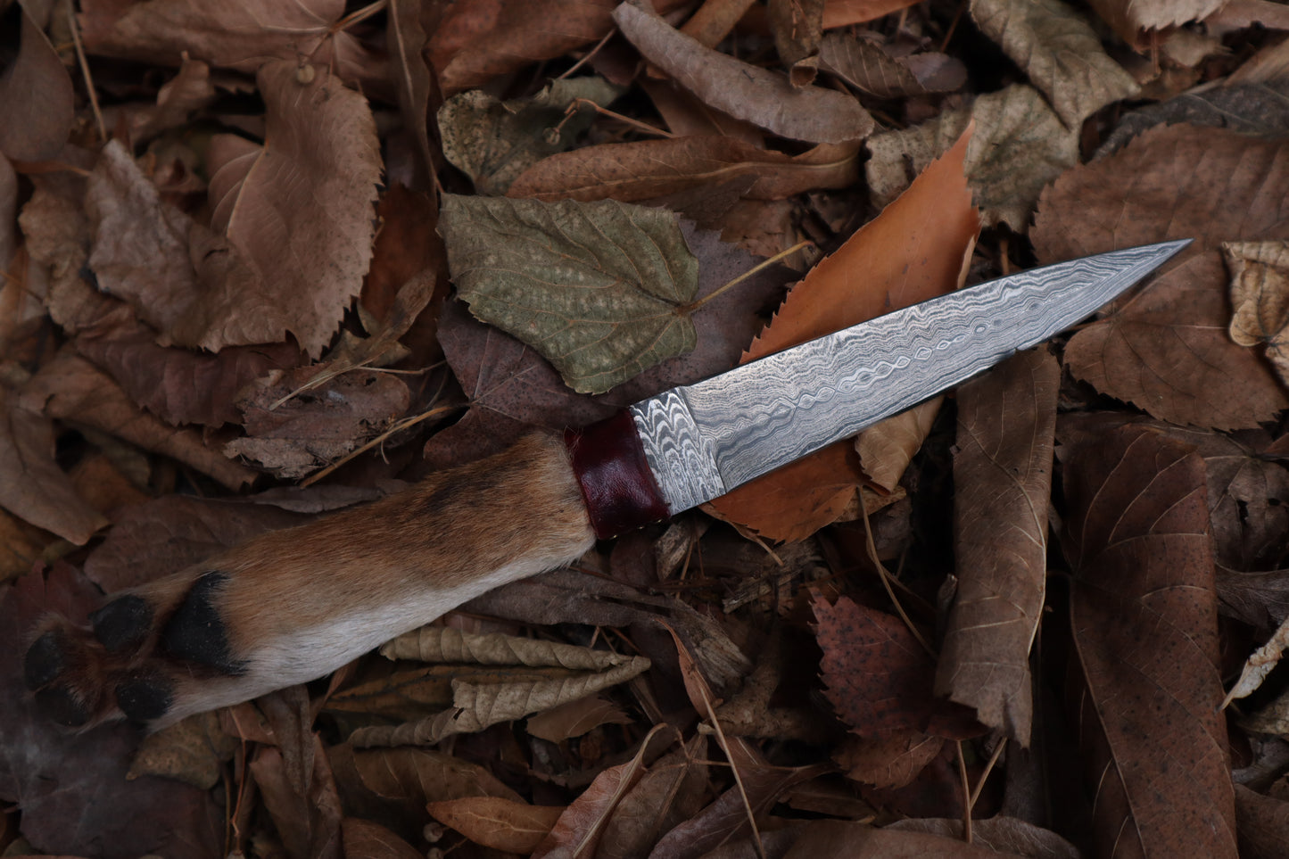 Spotted Damascus Coyote Paw Knife