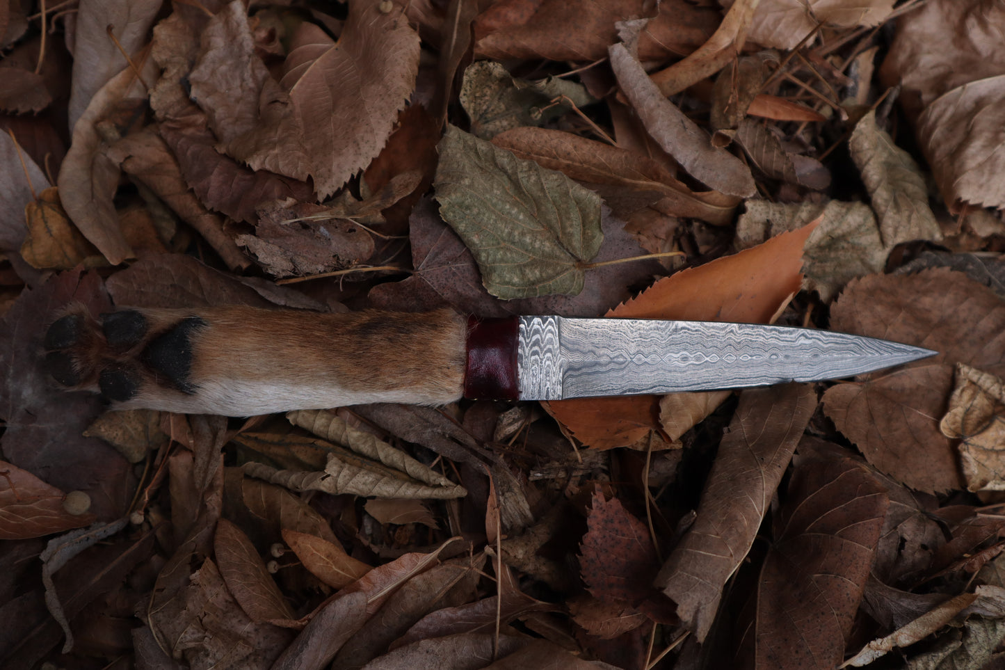 Spotted Damascus Coyote Paw Knife