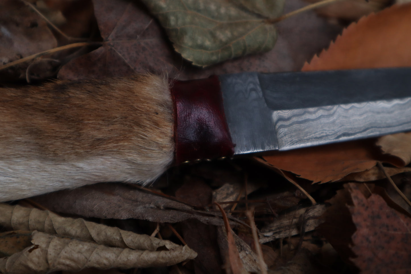 Spotted Damascus Coyote Paw Knife