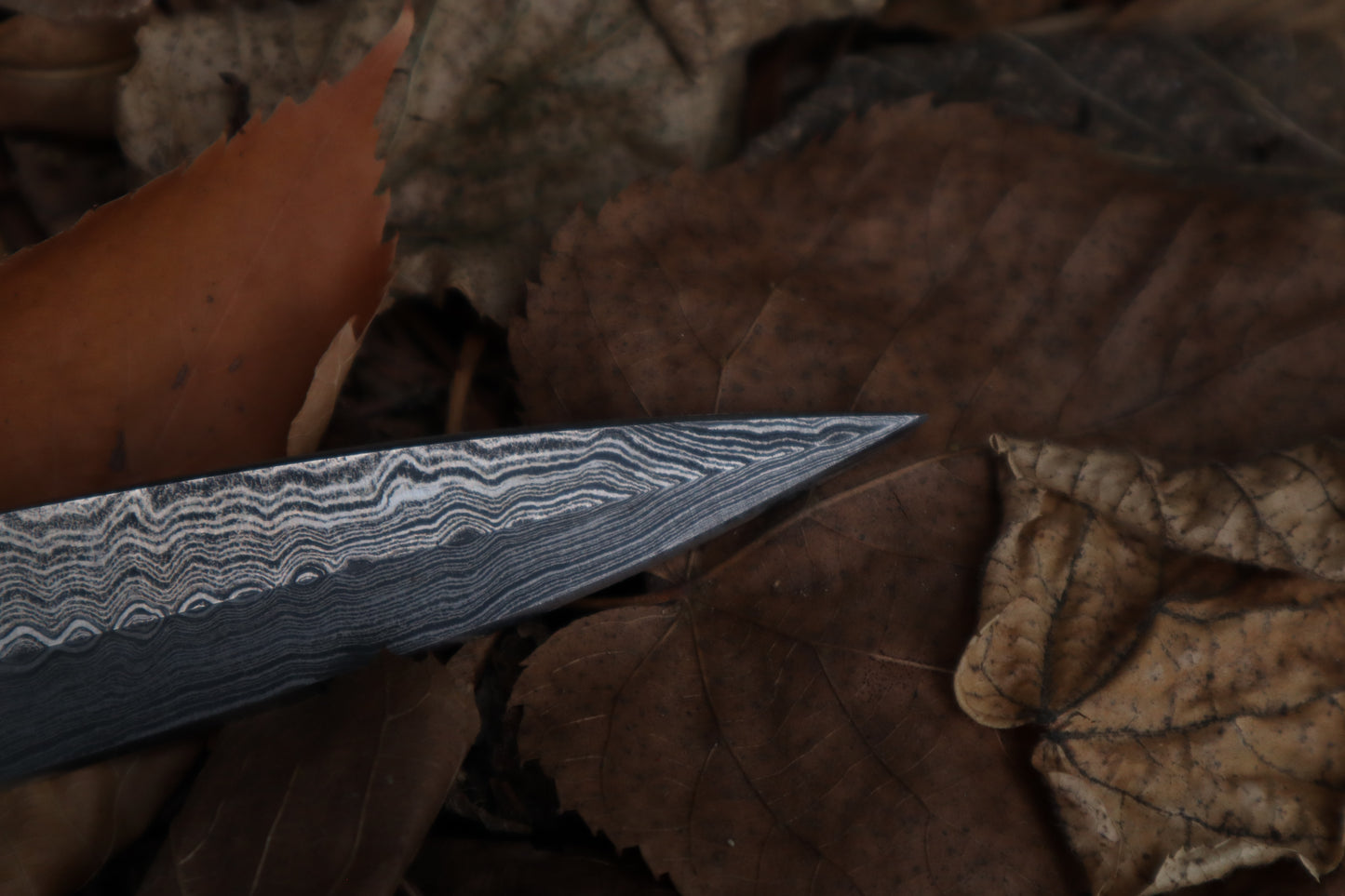 Spotted Damascus Coyote Paw Knife