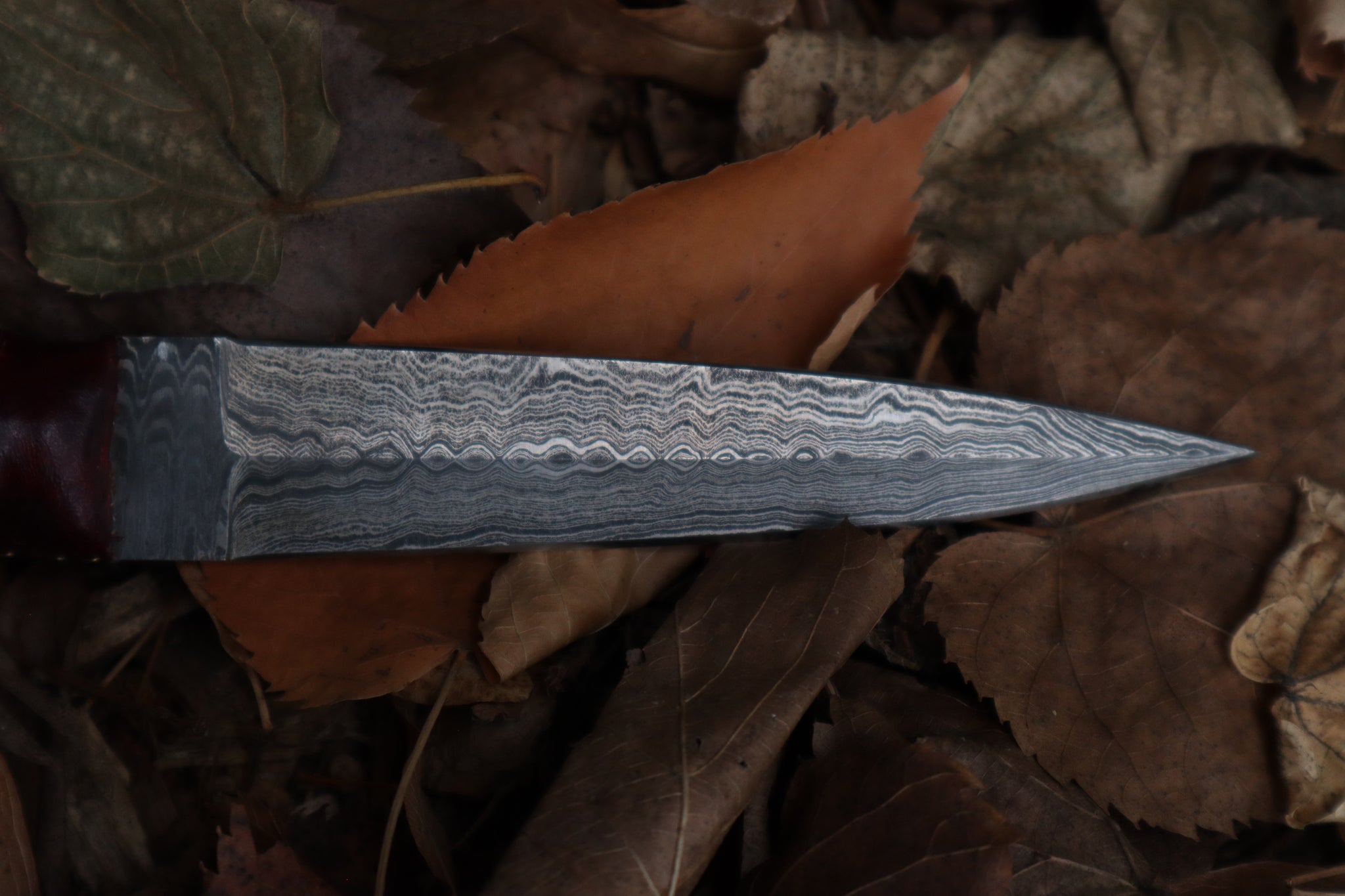Spotted Damascus Coyote Paw Knife