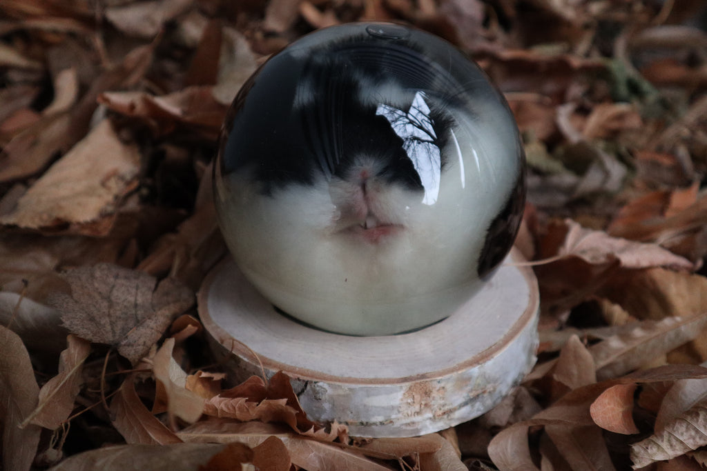 Birch Bound Rabbit Crystal Ball