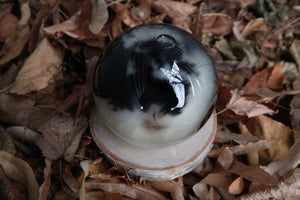 Birch Bound Rabbit Crystal Ball