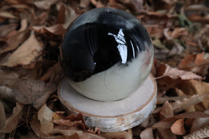 Birch Bound Rabbit Crystal Ball